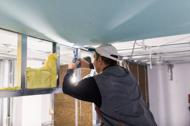 Types of Insulation We Offer in Viola, IL
