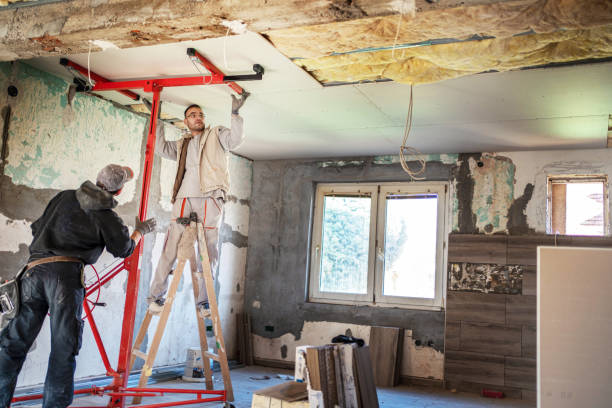 Best Spray Foam Insulation in Viola, IL