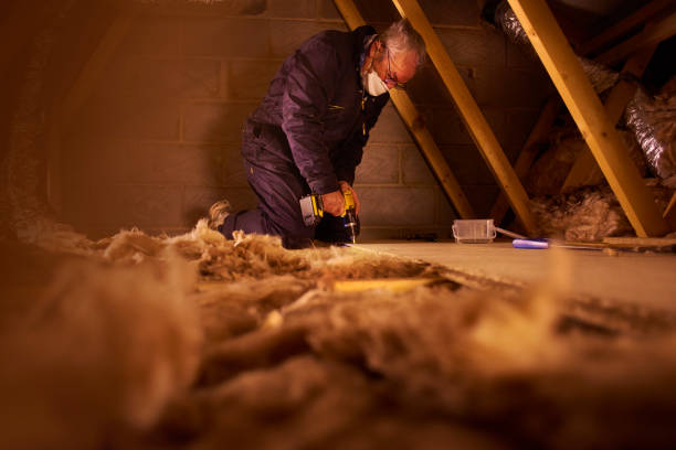 Best Insulation Maintenance and Repair in Viola, IL